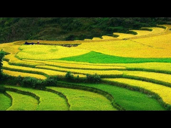 Nội dung: Mùa hè đang đầy vui vẻ với những xu hướng mới, và Huda Ice Twist đang chinh