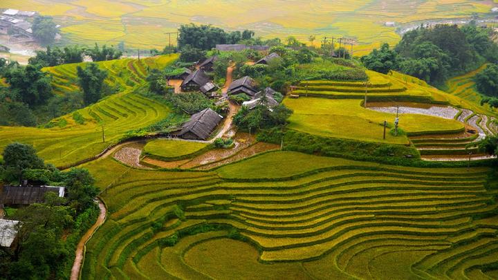 Xu hướng “Dữ liệu không nói dối”: Khi: Hotspot Matrix tiết lộ bí quyết video viral
