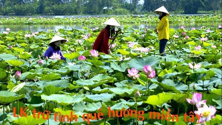 Học tiếng Anh và tìm thấy tình yêu: Câu chuyện của chị An và anh David