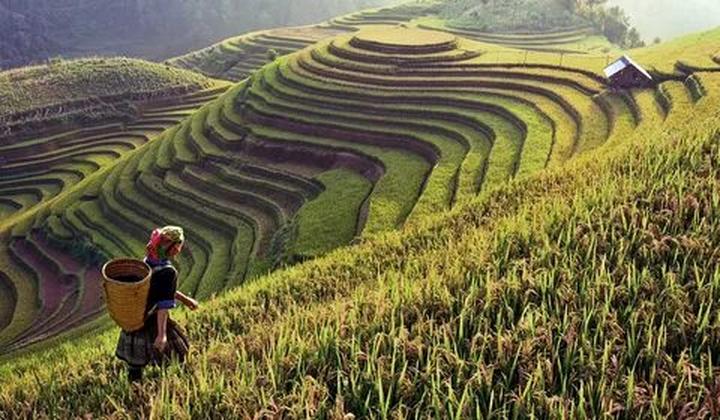 Thương mại hóa nội dung: Chìa khóa vàng trong kỷ nguyên video ngắn